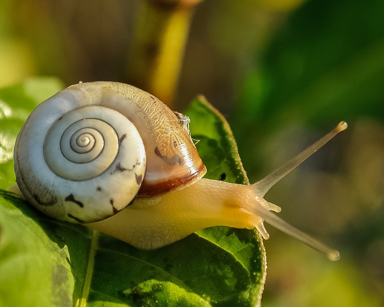 Image credits: Pexels Image credits: Pexels