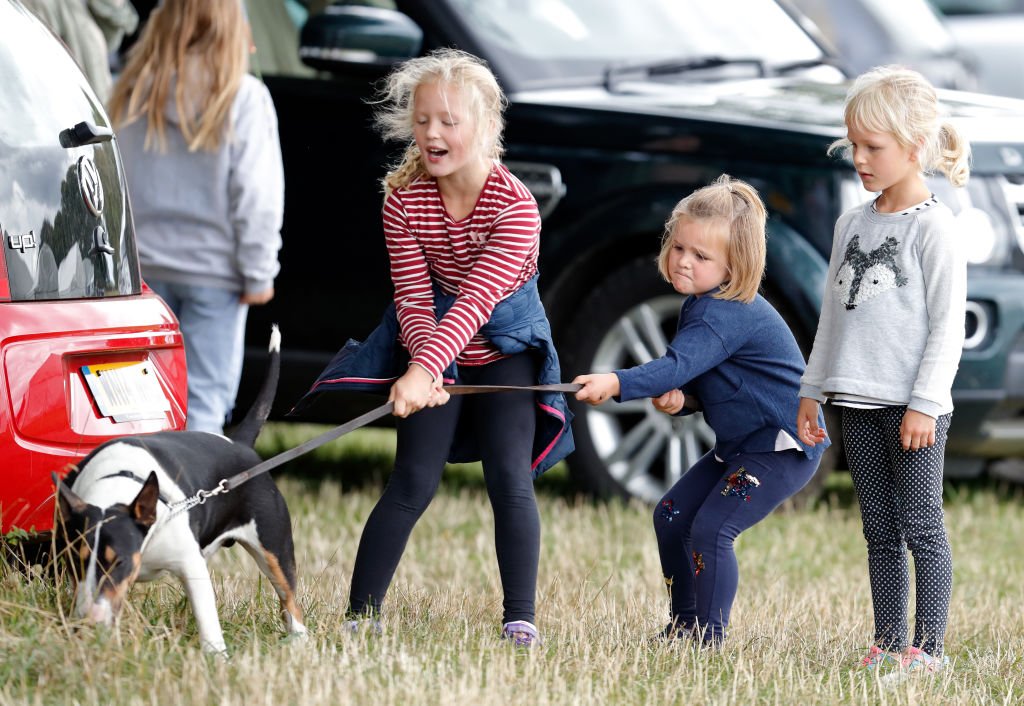 Image Credit: Getty Images / Savannah Phillips, Mia Tindall and Isla Phillips struggle to control their grandmother's bull terrier dog at Gatcombe Park on September 8, 2018 in Stroud, England. Image Credit: Getty Images / Savannah Phillips, Mia Tindall and Isla Phillips struggle to control their grandmother's bull terrier dog at Gatcombe Park on September 8, 2018 in Stroud, England.