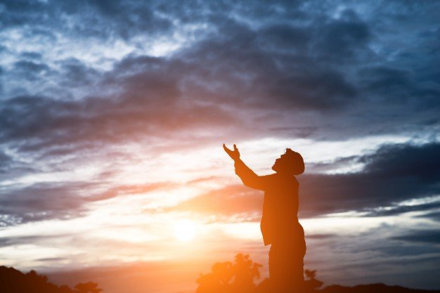 Crédito de imagen: Freepik Crédito de imagen: Freepik