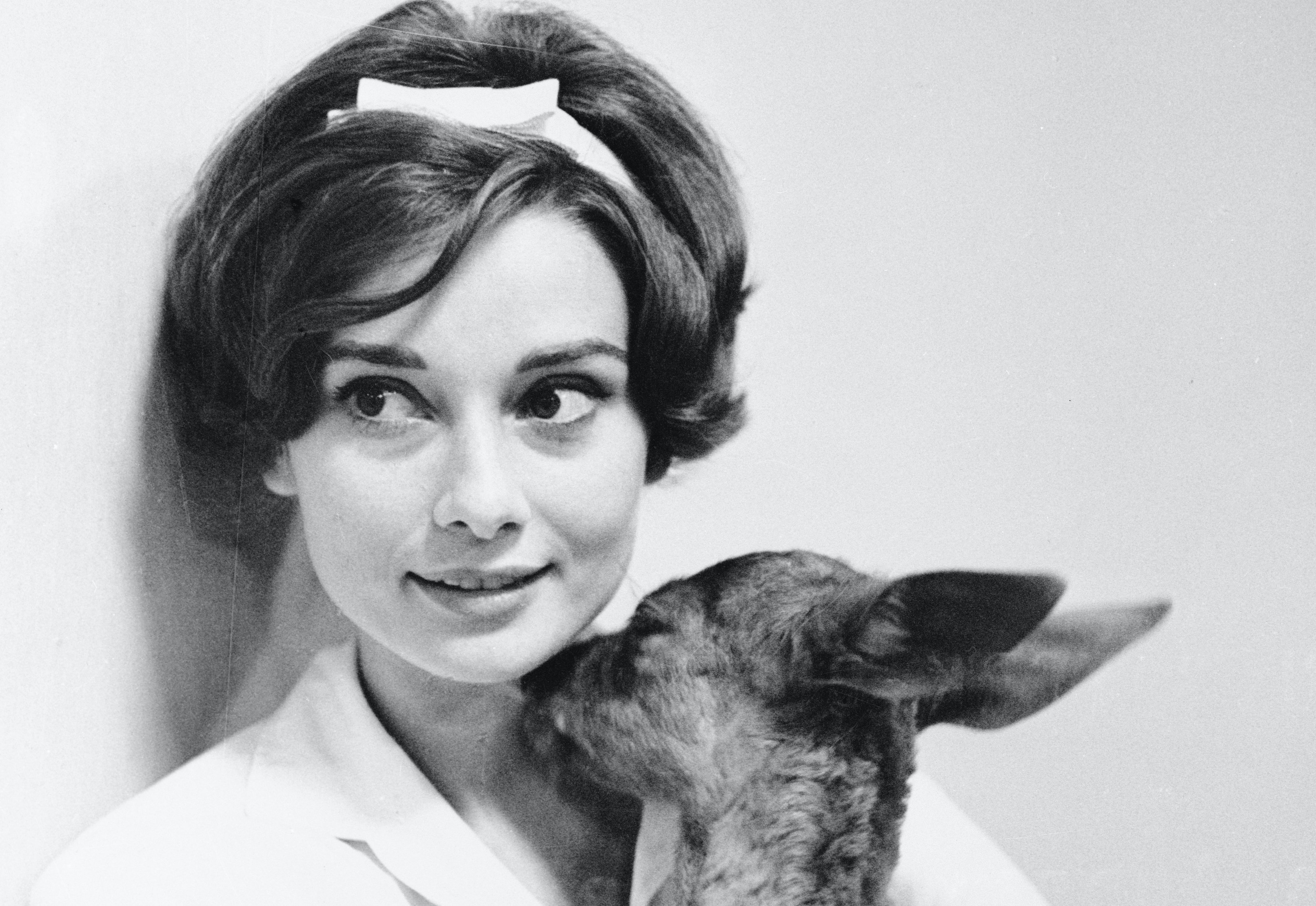 Image Credit: Getty Images / Actress Audrey Hepburn poses with her pet, Pippin. Image Credit: Getty Images / Actress Audrey Hepburn poses with her pet, Pippin.
