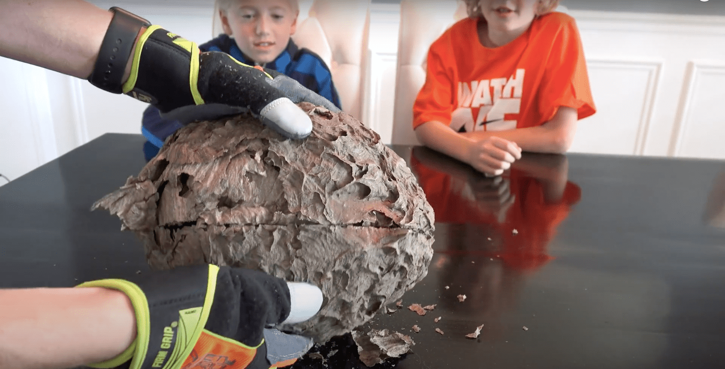 Image Credit: YouTube/What's Inside? Image Credit: YouTube/What's Inside?