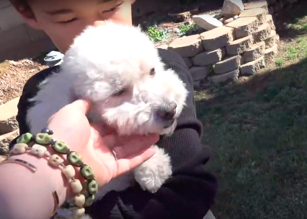Image Credit: YouTube/Hope For Paws Image Credit: YouTube/Hope For Paws