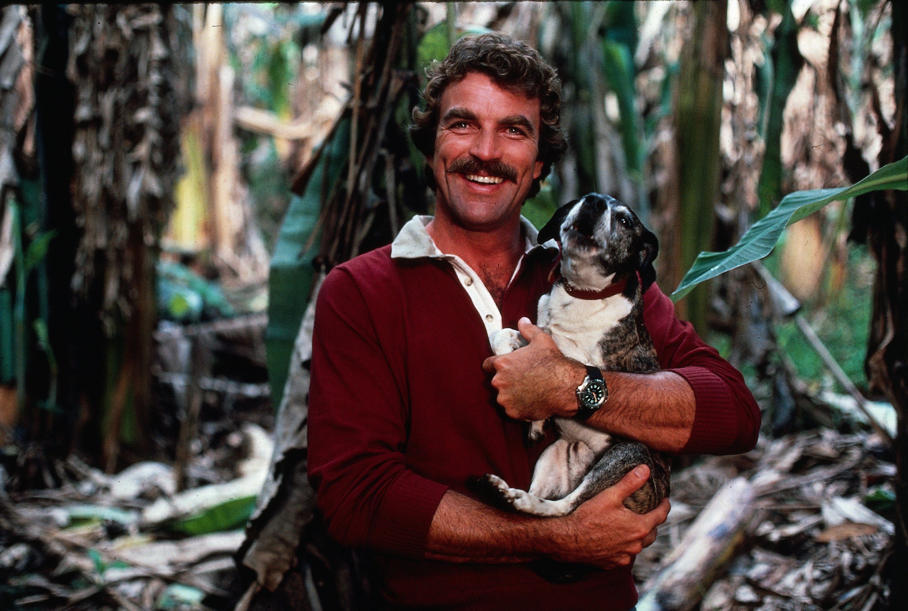 Image Credits: Getty Images | Tom Selleck's first wife made an appearance in Magnum, P.I.