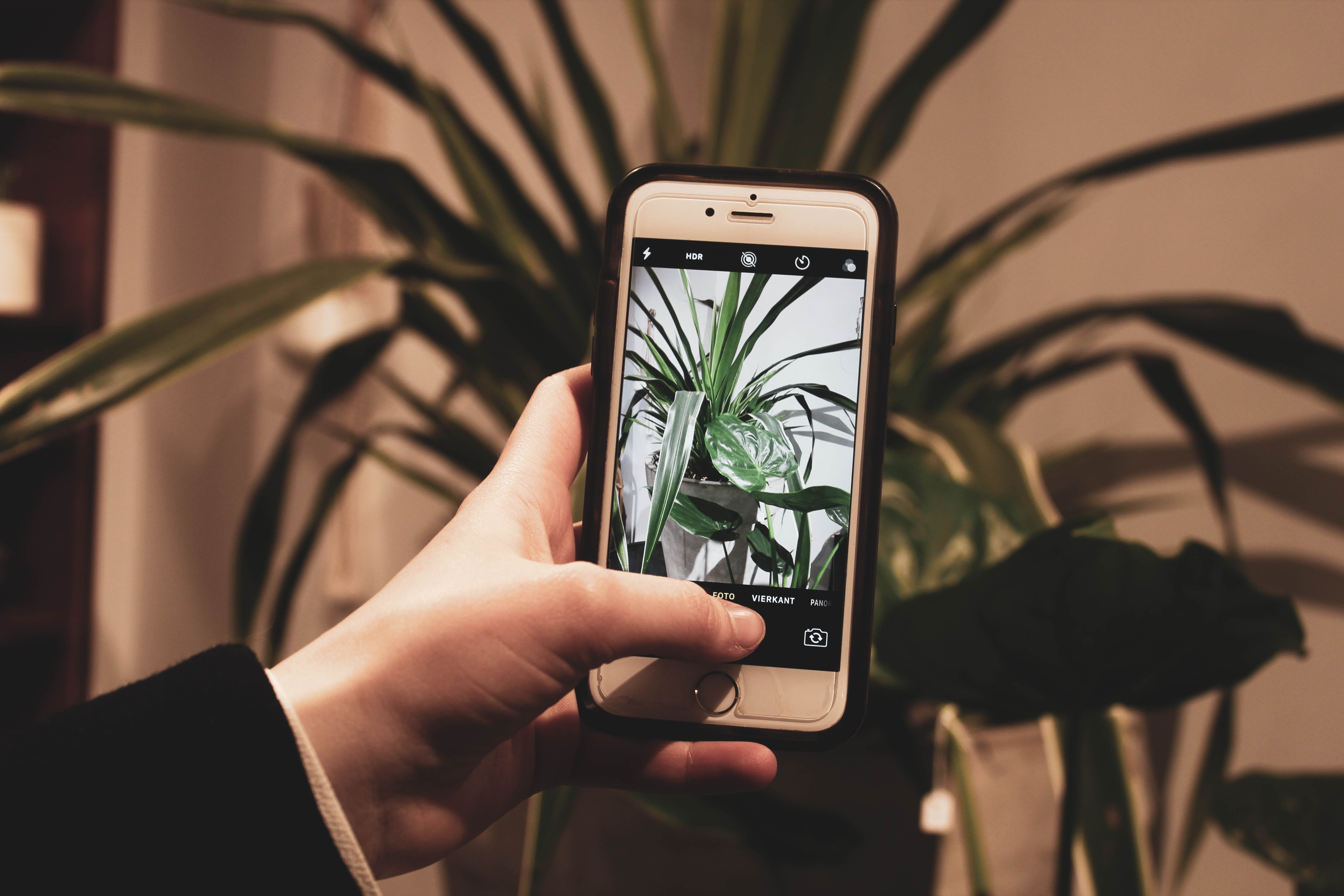 Image Source: Unsplash/Niels Kehl