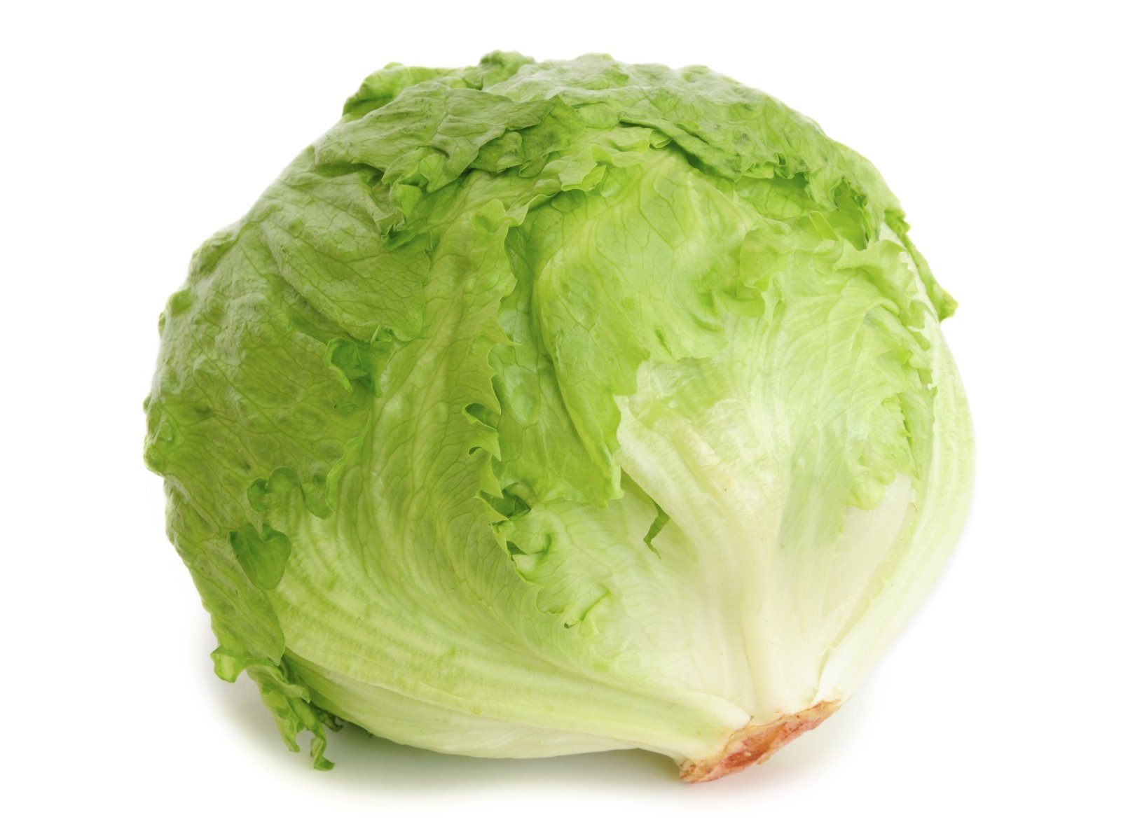 Image Credit: Wayback Machine/Iceberg Lettuce Image Credit: Wayback Machine/Iceberg Lettuce