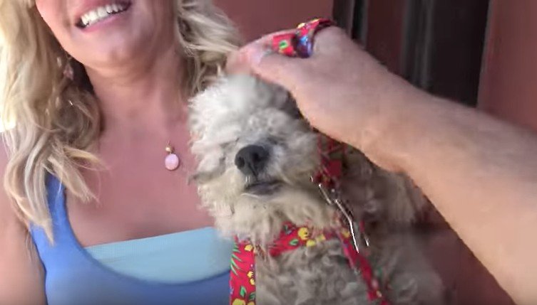 Image Credit: YouTube/Hope For Paws Image Credit: YouTube/Hope For Paws
