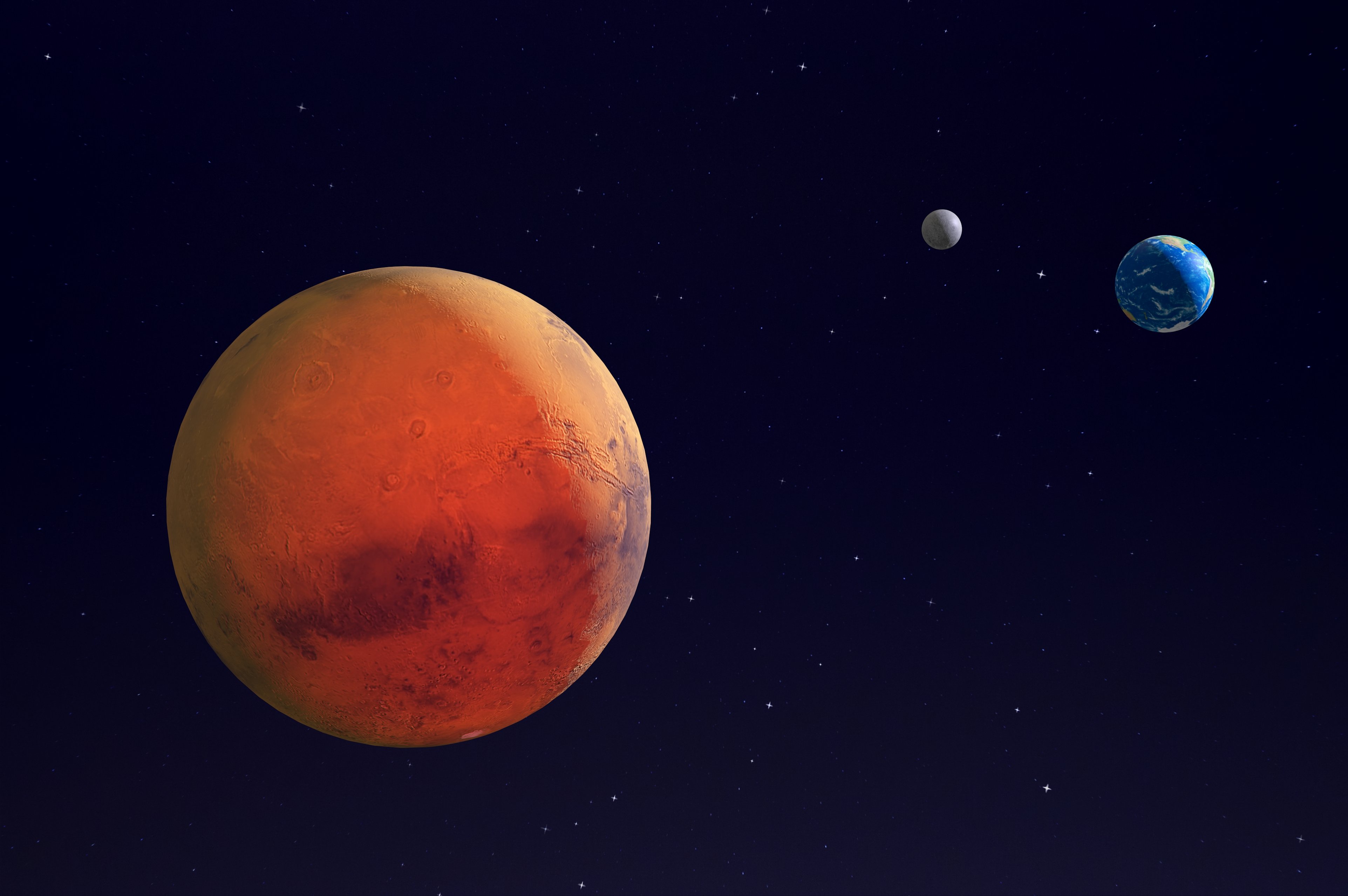 Image Credit: Getty Images/iStock/Getty Images Plus/Tokarsky Image Credit: Getty Images/iStock/Getty Images Plus/Tokarsky
