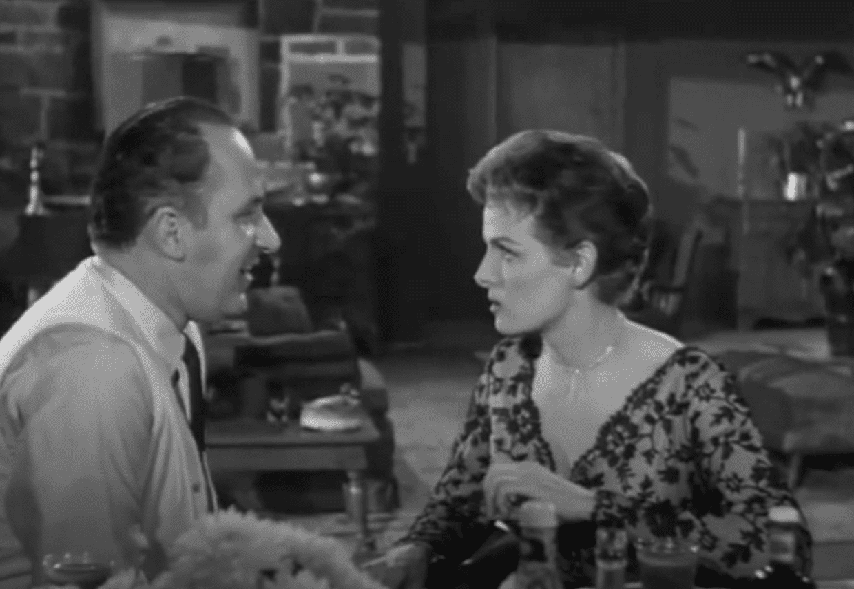Image Source: Youtube/Cinema Ion Productions/The Fuzzy Pink Nightgown /Russ-Field Productions