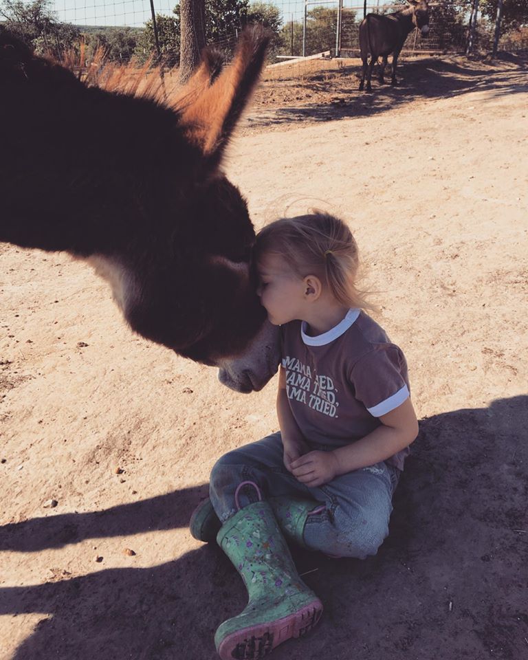 Image Credit: Facebook/Sycamore Tree Ranch Image Credit: Facebook/Sycamore Tree Ranch