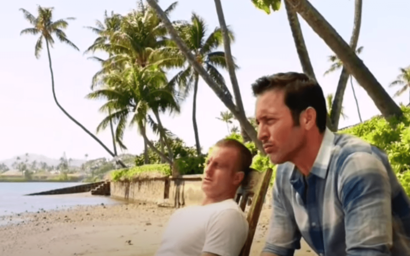Image Source: Youtube/Janine Brie|Hawaii Five-O/CBS