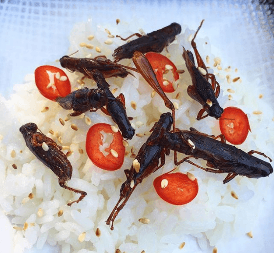 Créditos de imagen: Instagram/chefcatalinpetrescu Créditos de imagen: Instagram/chefcatalinpetrescu