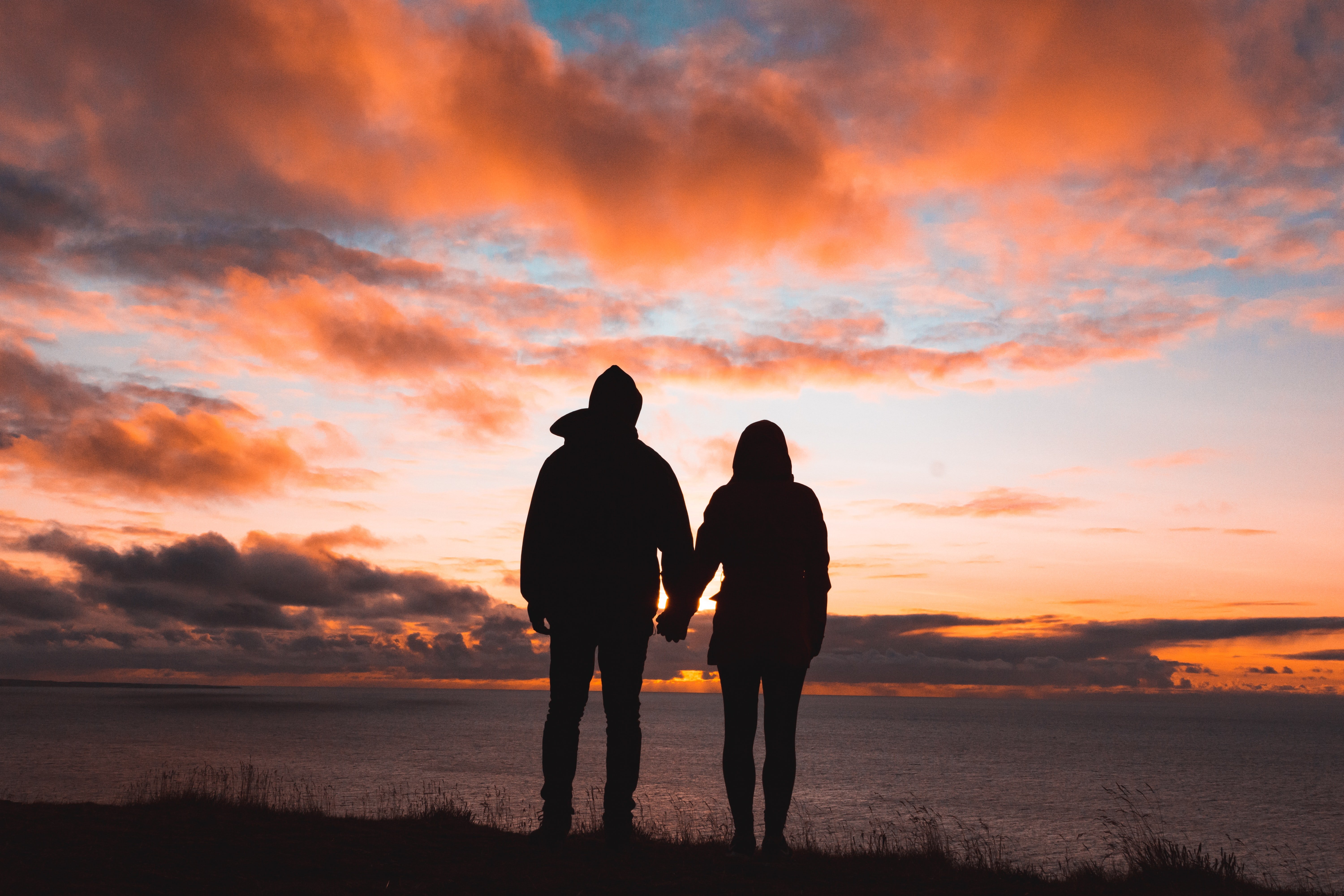 Image Credit: Unsplash / Alex Iby Image Credit: Unsplash / Alex Iby