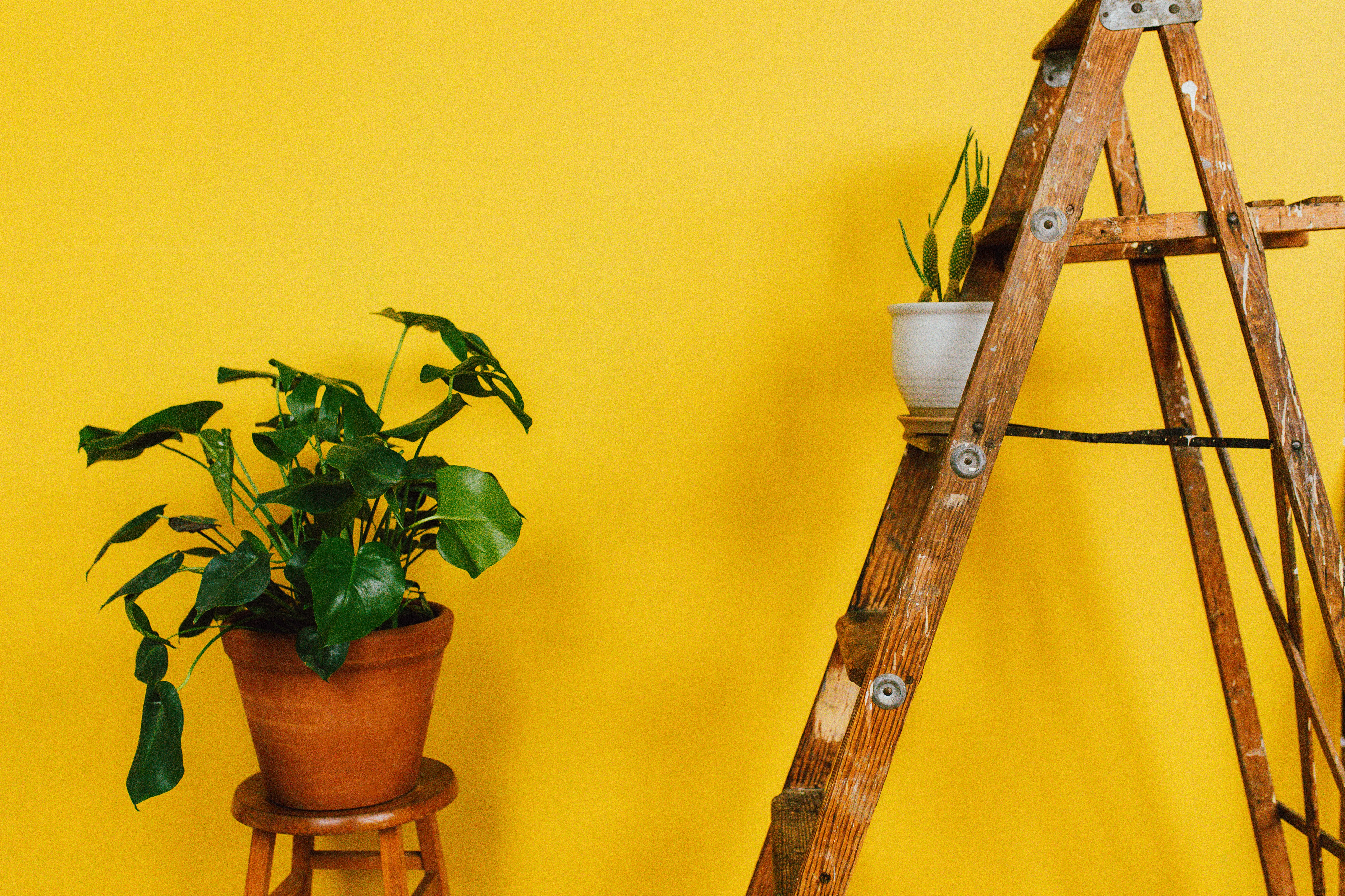 Image Source: Unsplash/Liana Mikah